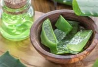 Aloe Vera tiene màs de 200 nutrientes
