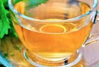 Infusión de Melisa