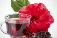 Maravillas de la Flor de Jamaica