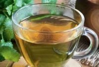 Té de Toronjil