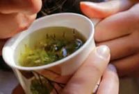 Té de uña de gato