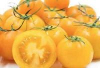 Tomates Amarillos