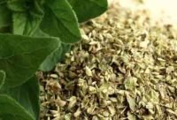 Té de Orégano