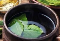 Té de hojas de laurel