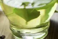 Té de boldo
