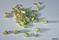 Infusión de Regaliz para la tos