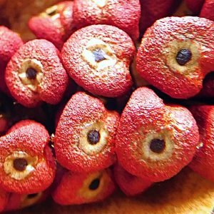 Achiote - planta medicinal