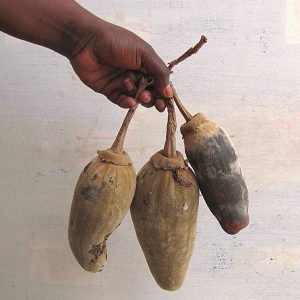 Bebida de Pulpa de Baobab energizante