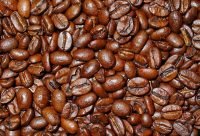 Café - planta medicinal