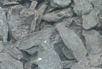 Rodajas de raiz de Fo-Ti curada usadas para preparar decoccion antioxidante