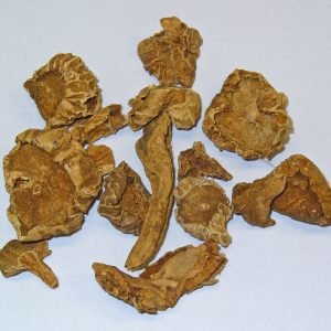 Garra del Diablo - planta medicinal africana