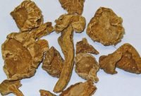 Garra del Diablo - planta medicinal africana