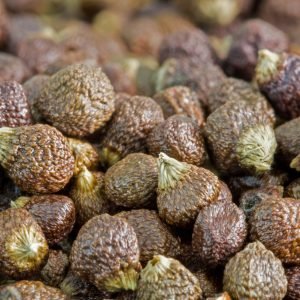 Granos del Paraíso - planta medicinal africana