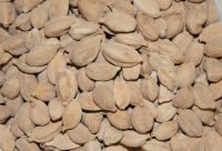 Vainas de Cardamomo usadas para preparar infusion digestiva