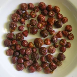 Jugo de Noni inmunoestimulante