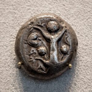 Silphium: la planta anticonceptiva de la Antigua Roma que se extinguió