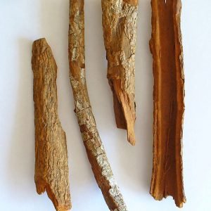 Arbol de quina, Cinchona officinalis, fuente natural de la quinina