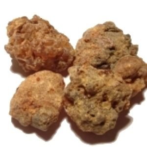 Mirra - planta medicinal africana