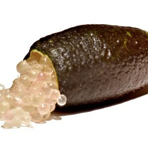 Perlas de Lima de Dedo para pescados