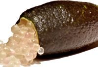 Perlas de Lima de Dedo para pescados