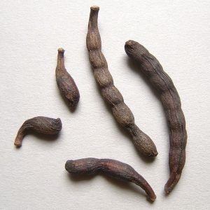 Pimienta de Guinea - planta medicinal africana