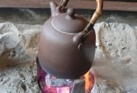 Tallos de Hoodia Masticables