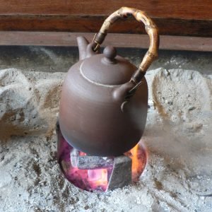 Tallos de Hoodia Masticables
