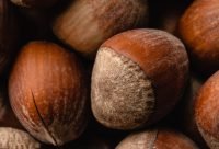 Avellanas con cascara en primer plano