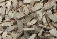 Rodajas secas de raiz de astragalo listas para preparar la decoccion