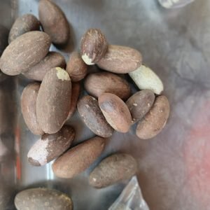 Receta de Decocción de kola amarga para el bienestar respiratorio y hepático
