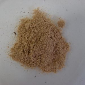 Planta medicinal Muira Puama (Ptychopetalum olacoides)