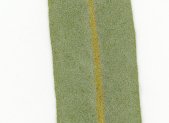Receta de Infusión vitamínica de Espino Amarillo y Escaramujo para mucosas y defensas