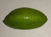 Dato curioso: El amuleto del Buda de la Medicina y sus seis sabores