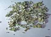 Receta de Infusión de alquimila para el alivio menstrual y digestivo