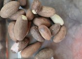 Receta de Decocción de kola amarga para el bienestar respiratorio y hepático