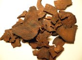 Raiz seca de Fo-Ti, Polygonum multiflorum, usada tradicionalmente en China
