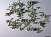 Receta de Infusión de pulmonaria balsámica para aliviar la tos y el pecho cargado