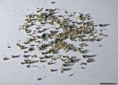 Receta de Infusión de ulmaria para el dolor articular y la inflamación