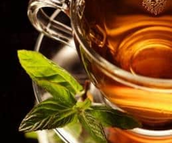 Infusión de té de hierbas medicinales en una taza